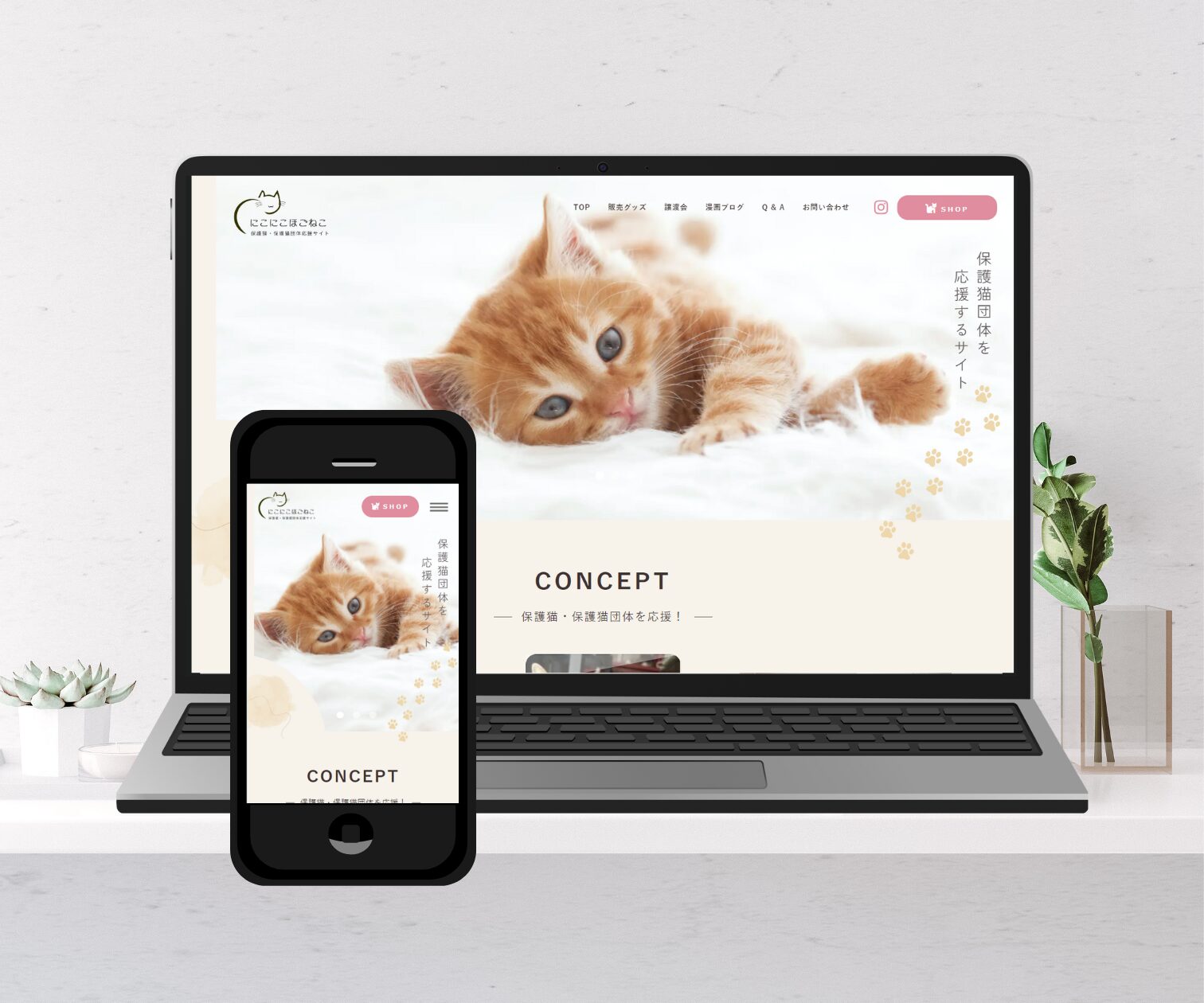 保護猫団体応援HP